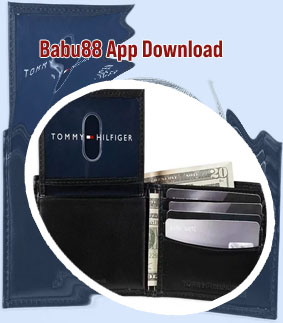 Babu88 wallet